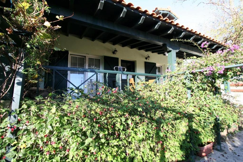 La Casa De Gene Vila Ruilobuca Exterior foto